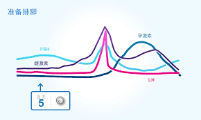 国内最大供卵中介,2026最新第三代试管***要多少费用