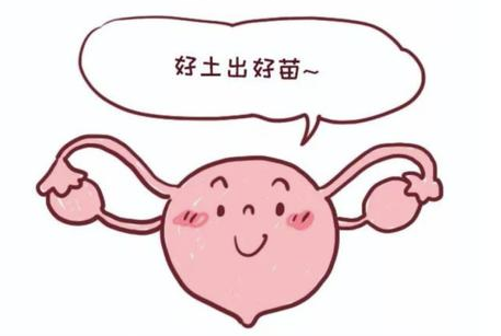 国内可供卵的公立医院,哪些国家单身男女*试管婴儿*子是合法的