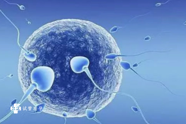 国内代生孩子费用,2026最新版*男*女清宫表(详细清宫图计算方法看这里)