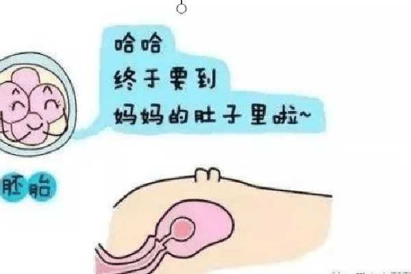 国内哪家供卵比较好一点,试管婴儿促排卵方案有哪些？如何选择适合自己的？