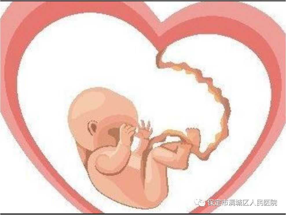 国内靠谱供卵中介,*降调节药物后多久排卵？打完达菲林后多久排卵