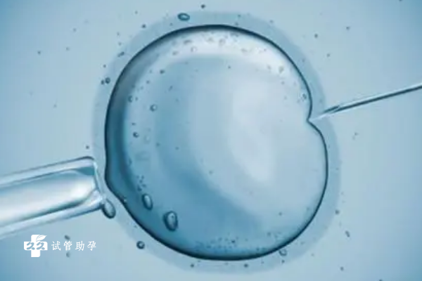 国内供精供卵费用多少,形容美好的事物出现的时间很短的成语（小说中反复出现的事物的作用）