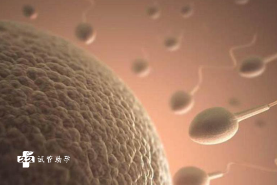 国内代孕机构,多囊卵巢吃优思明还是达英35？选择时别陷入这些误区了