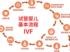 全国供卵中心排名,卵泡监测≠排卵监测？费用、间隔时间、次数有不同