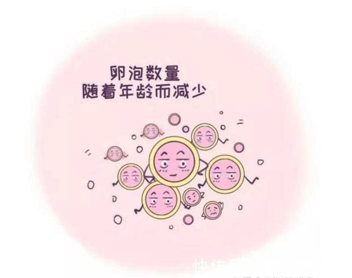 国内供卵代孕生男孩,试管冻囊胚什么时候移植,囊胚一般月经几天移植