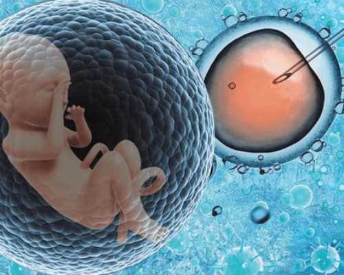 中国代怀供卵机构,甘肃妇幼保健院试管婴儿成功率