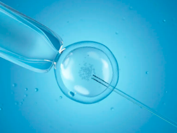 中国供卵中心有哪些,2026年独生子女家庭不用交医保和养老保险吗?这篇就够了