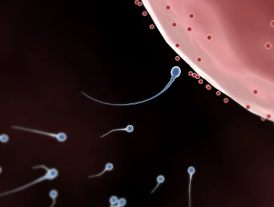 中国供卵试管婴儿多少钱,2026年西安*试管婴儿医院排名附试管费用及*率